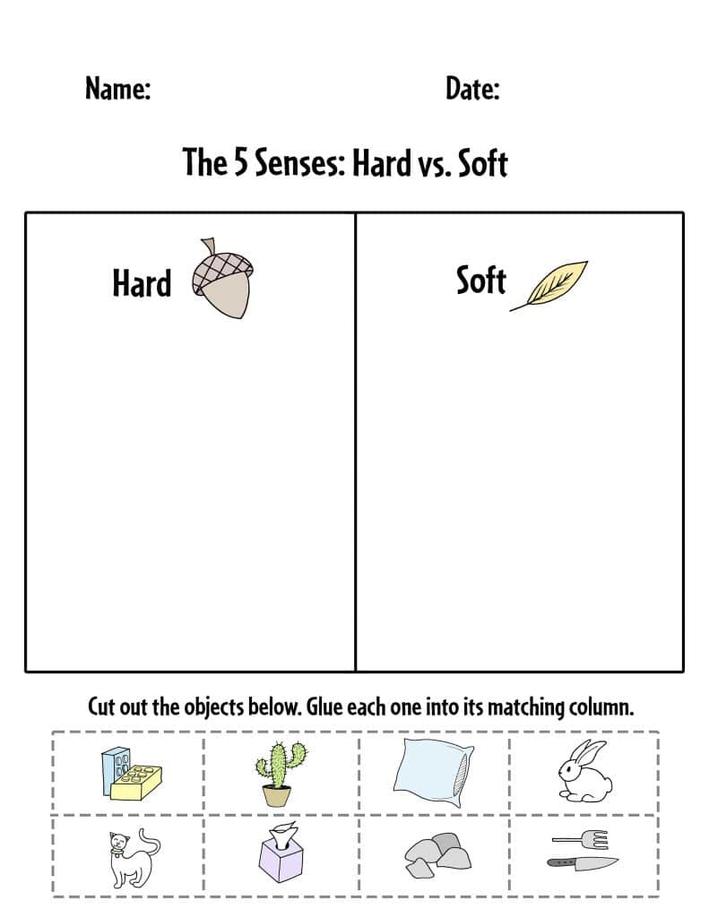 Hard vs. Soft Sorting Sheet
