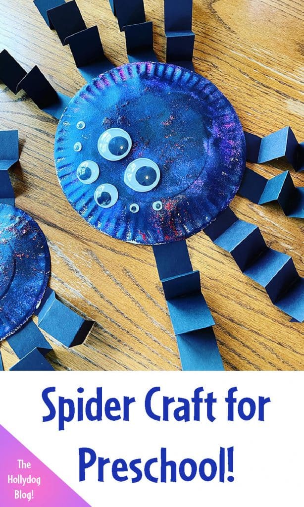 Spider Craft
