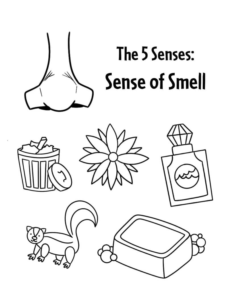 Sense of Smell Coloring Page