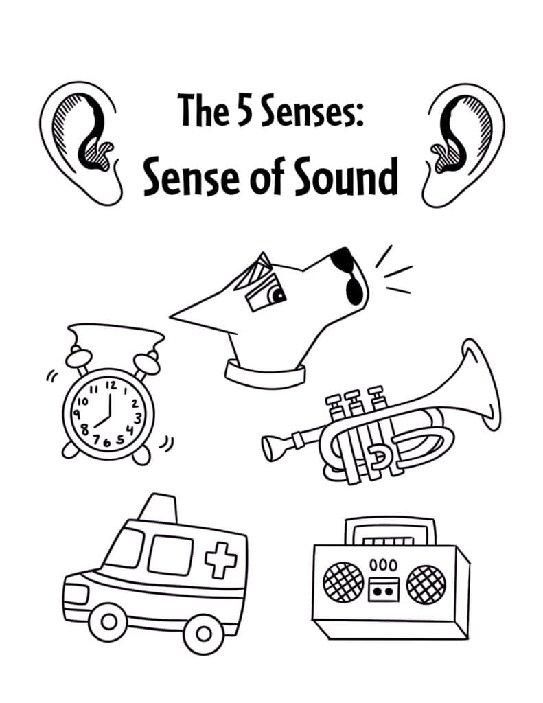 Sense of Sound Coloring Page