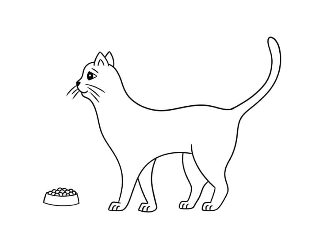 Cat with Food Coloring Page