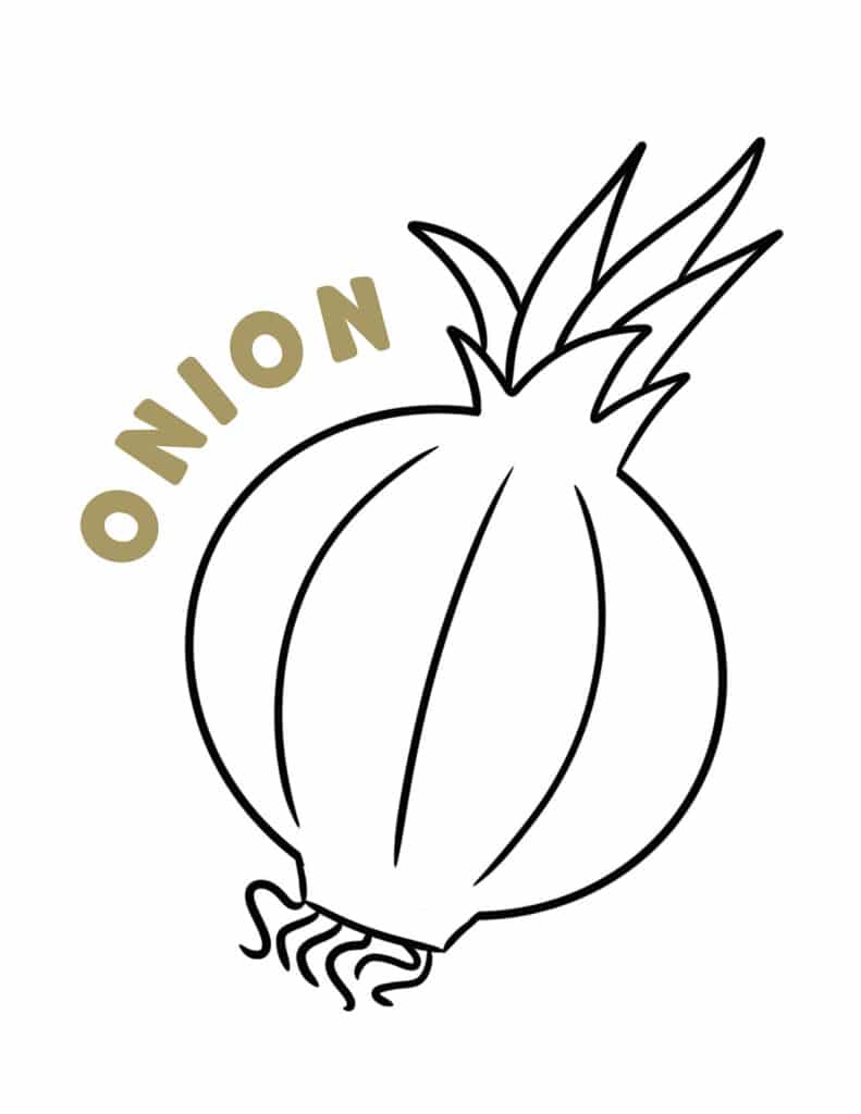 Onion Coloring Page, Free Vegetable and Fruit Coloring Pages
