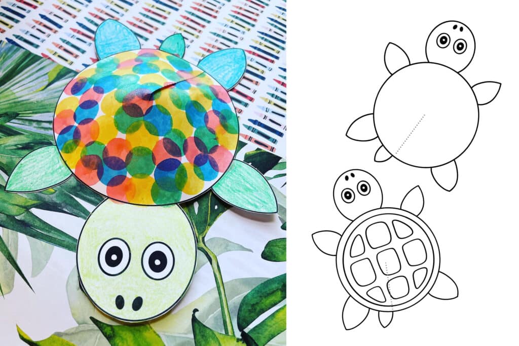 turtle craft for preschool