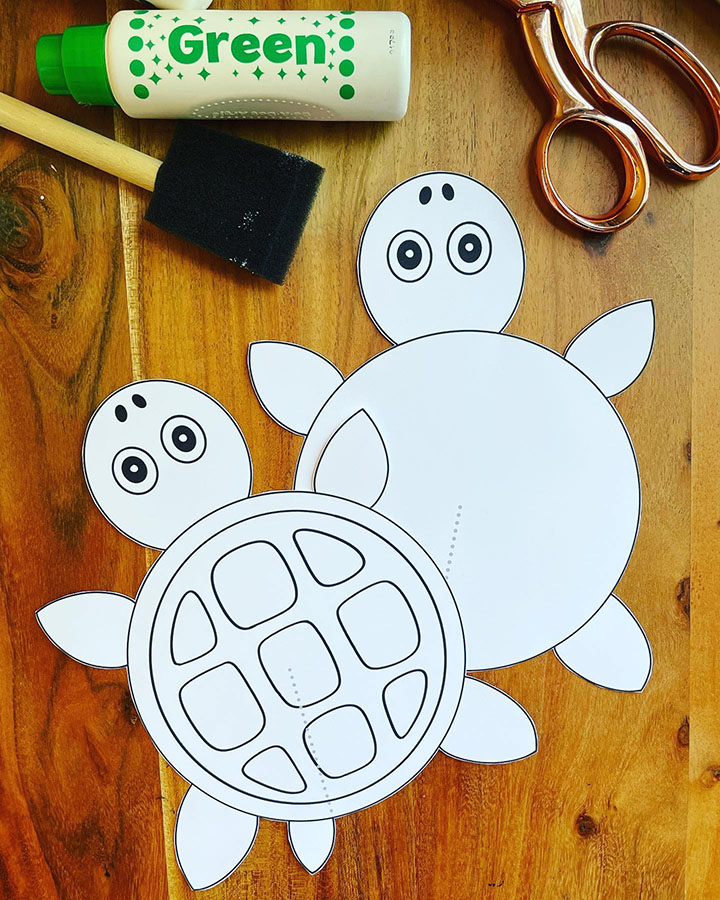 Turtle Template Cut Out Turtle Template Cut Out