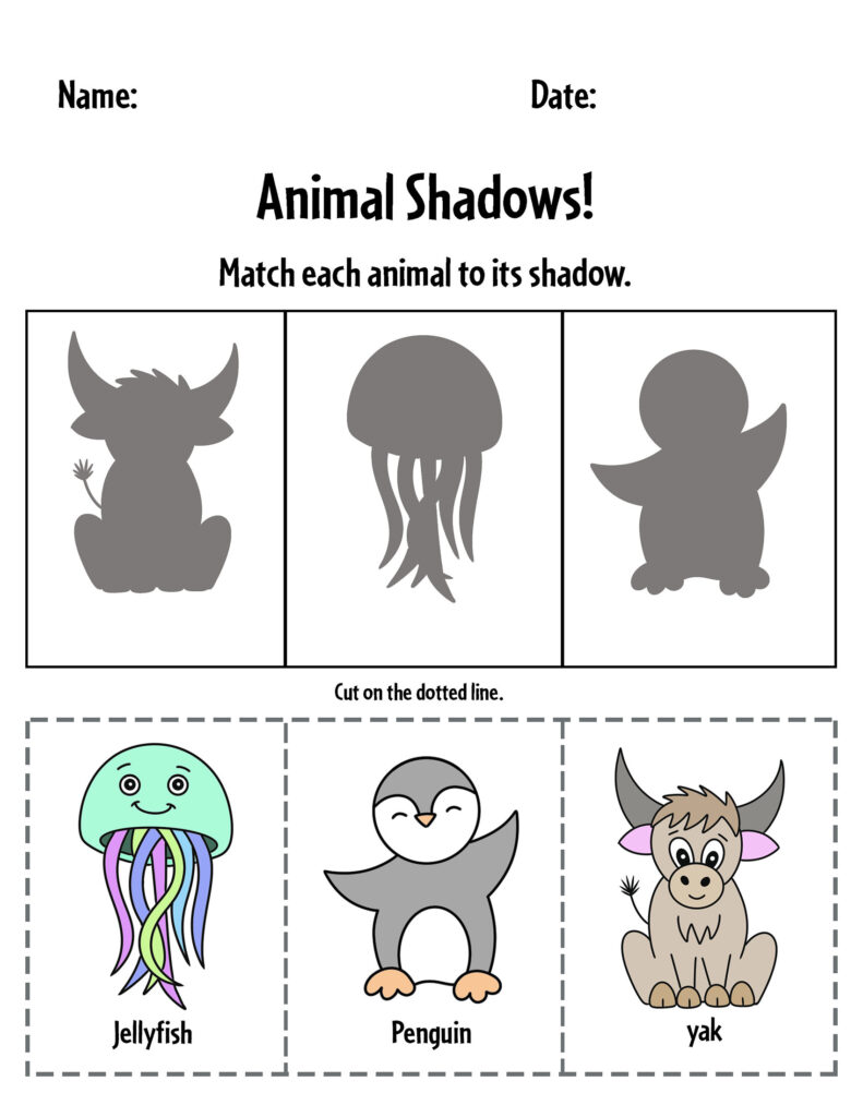 Zoo Animal Shadow Match