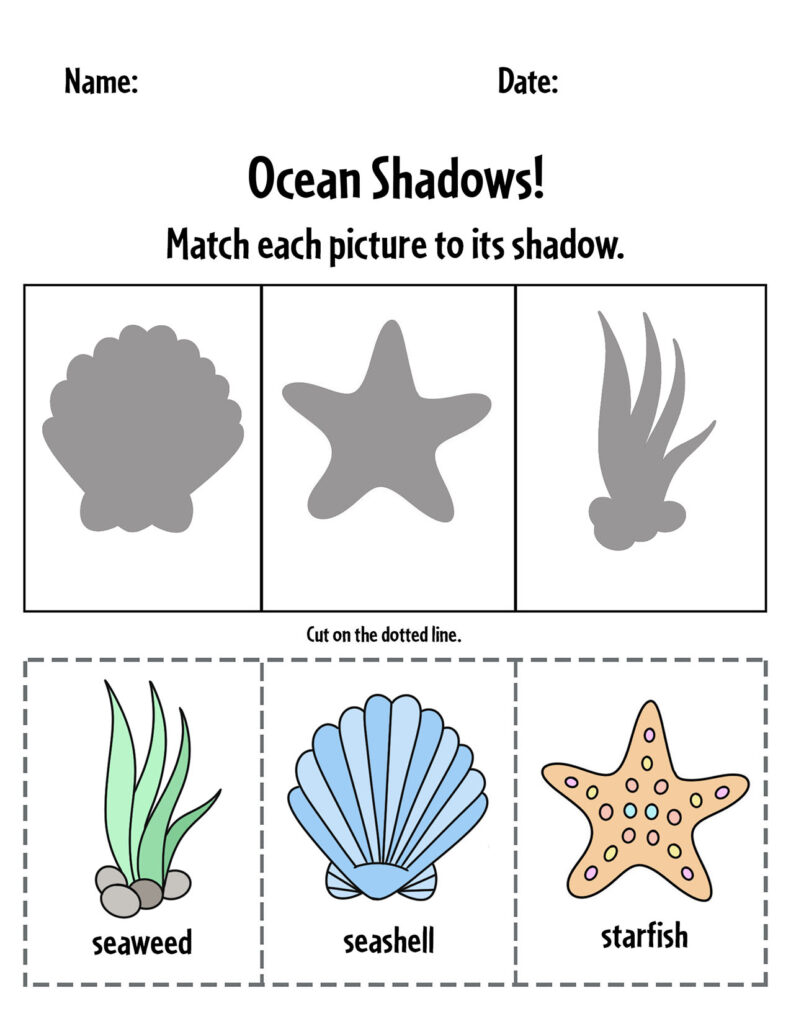 Ocean Shadows Worksheet