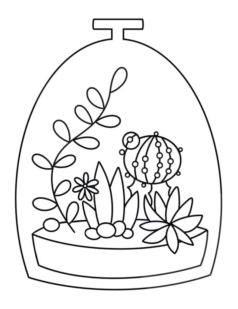 succulents coloring page