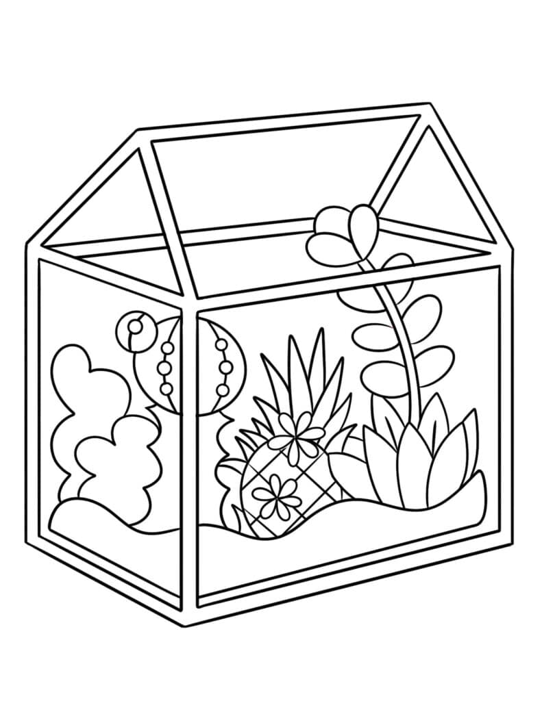 plant terrarium coloring page