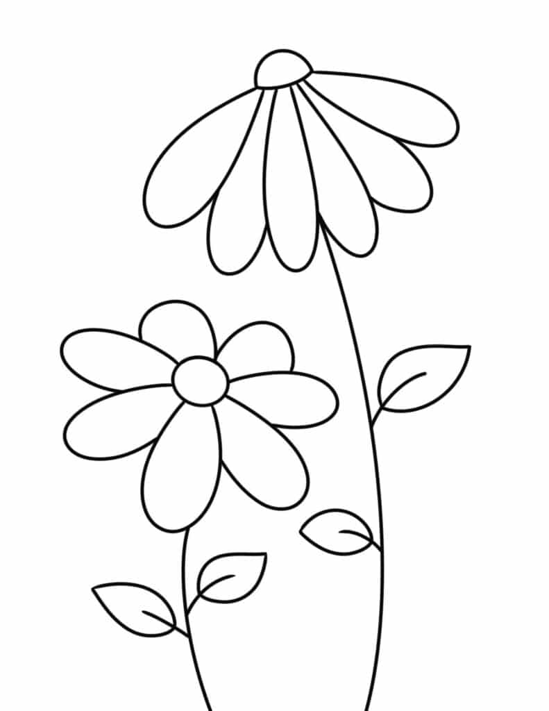 daisies coloring page