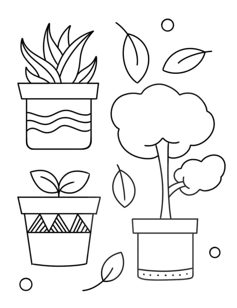 plants coloring page 