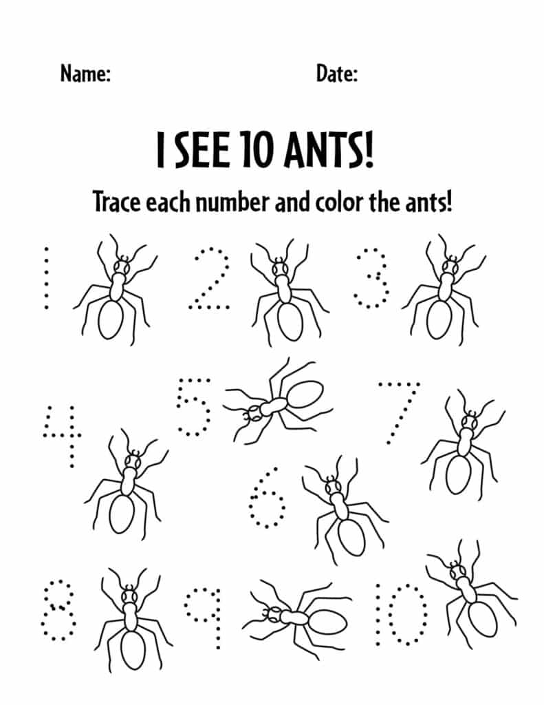 ant number tracing sheet