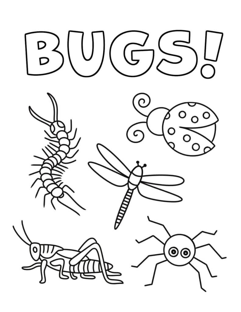 bug coloring page, Free and Fun Bug Activities for Preschool!