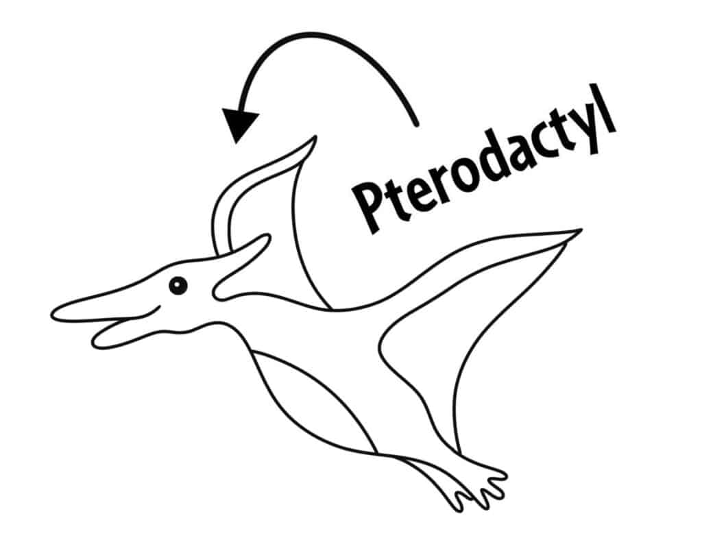 Pterodactyl coloring page, Free Dinosaur Coloring Pages for Kids