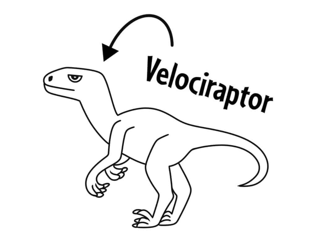 Velociraptor coloring page, Free Dinosaur Coloring Pages for Kids