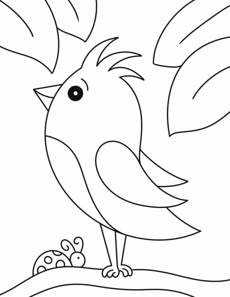 spring bird coloring page
