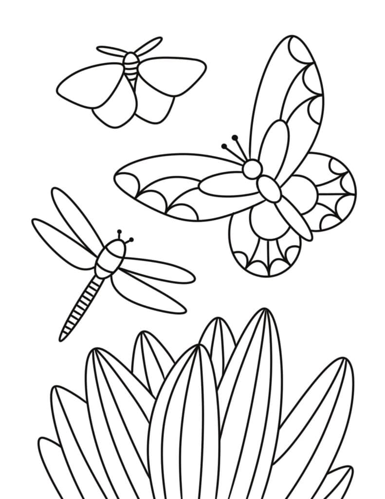 Butterfly Wings Coloring Page