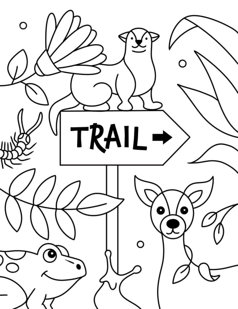 Trail Coloring Page, Free Camp Coloring Pages for Kids!