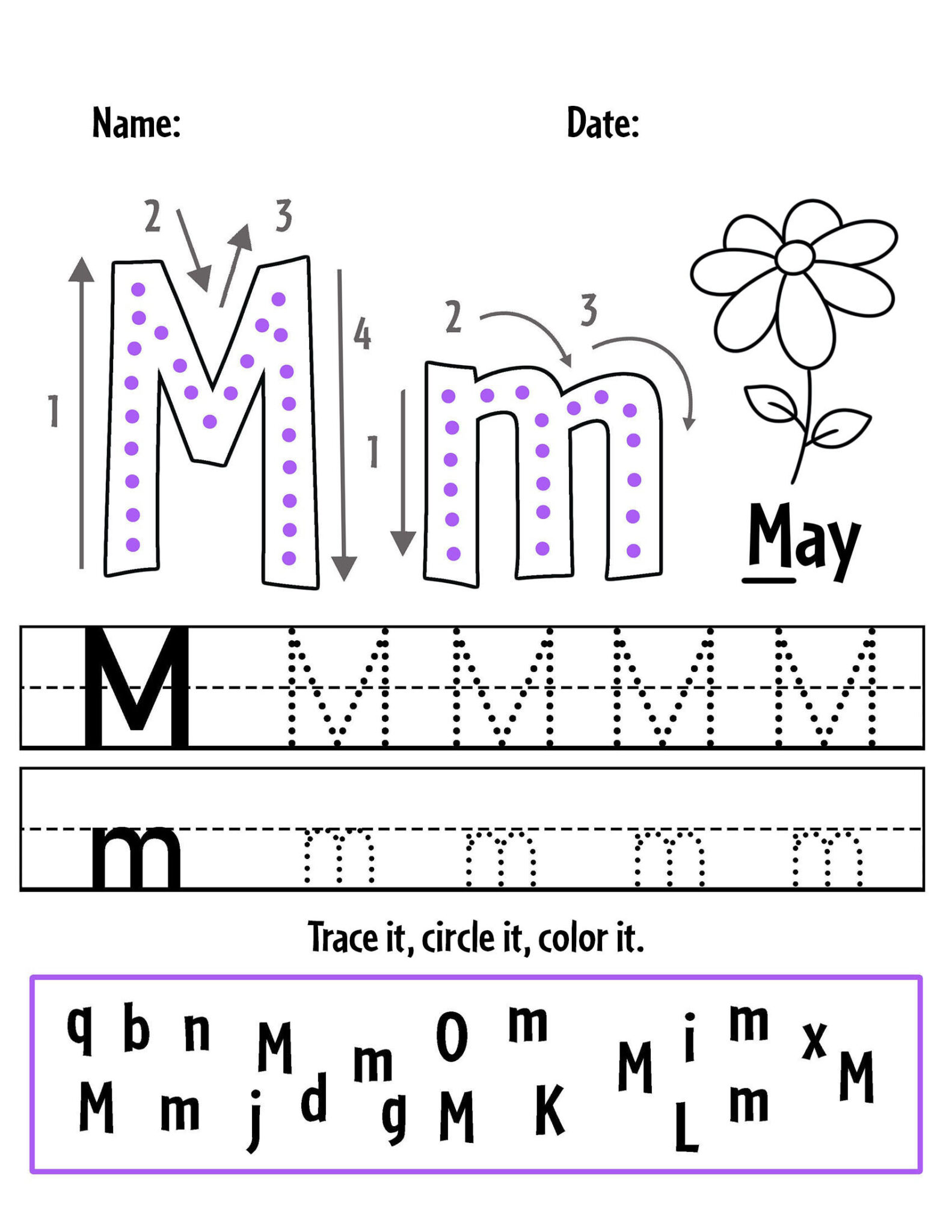 Free May Worksheets for Preschool ⋆ The Hollydog Blog