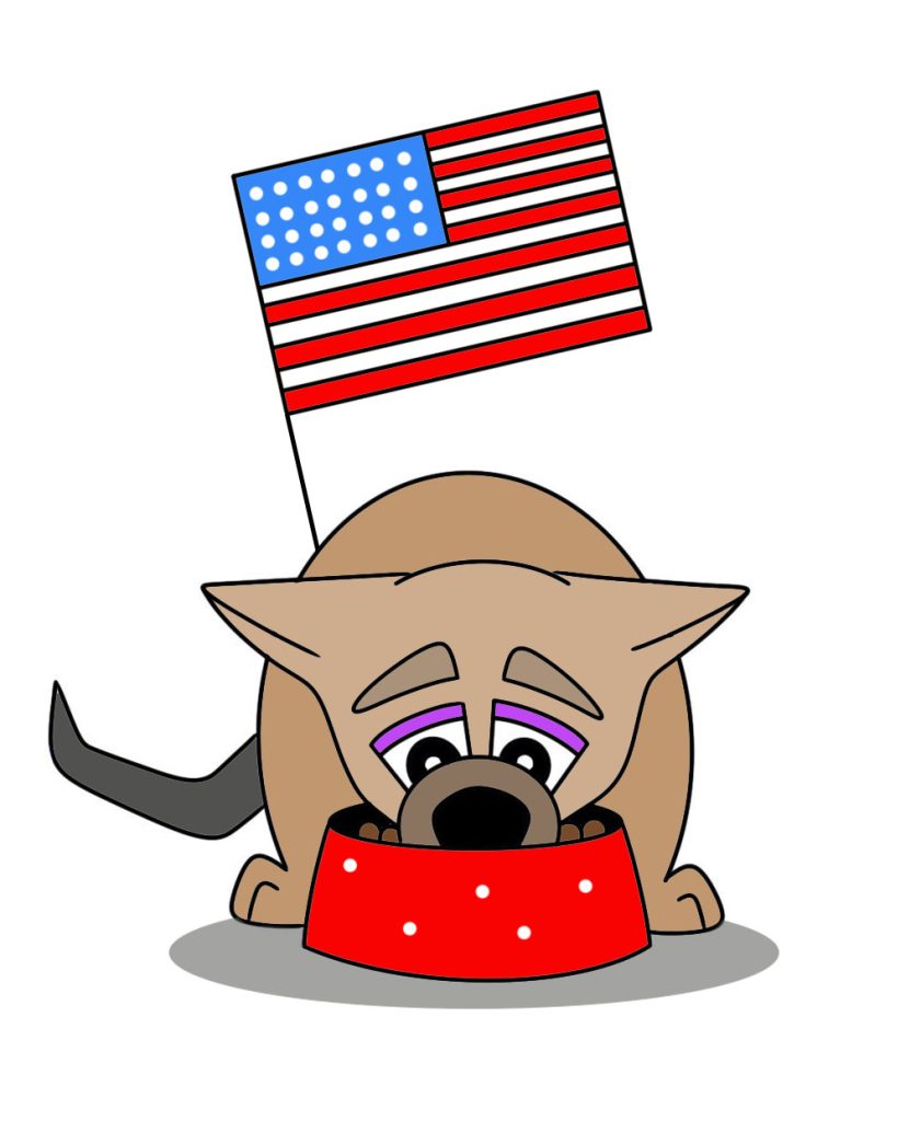 The Best 4th of July Activities for Preschool! Hollydog Learning!
