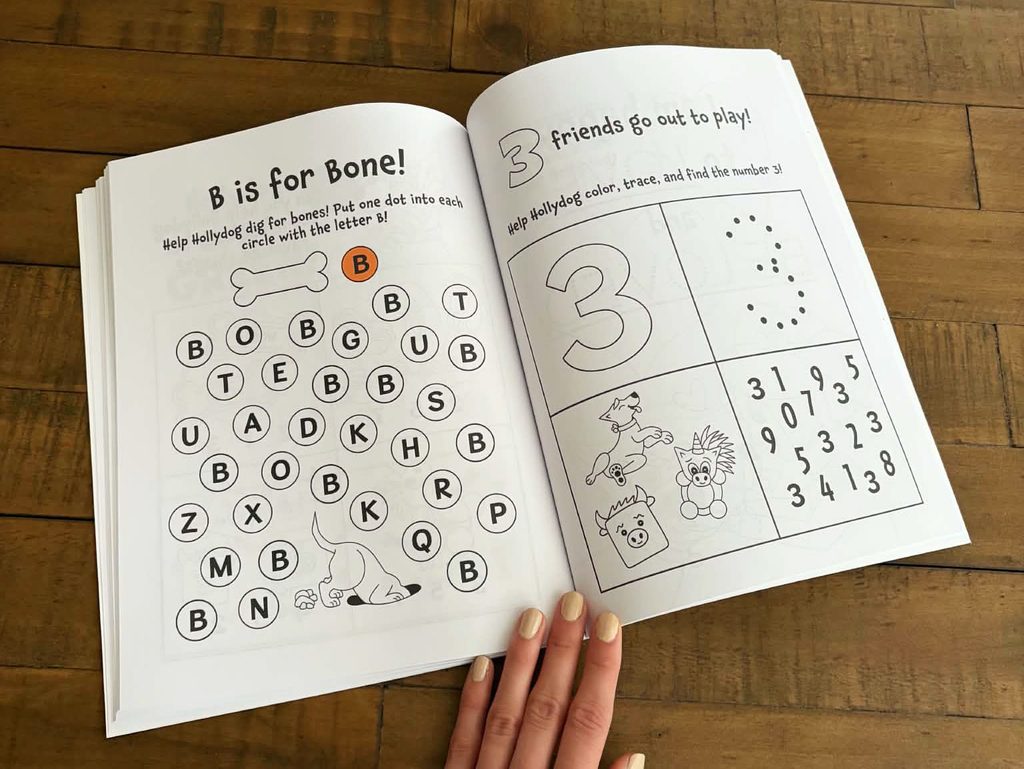 Hollydog's Big Book of FUN!