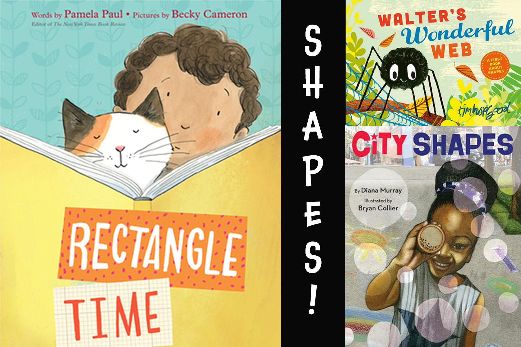 10 Best Books About Shapes for Preschool (Hollydog’s Top Picks!)
